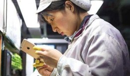 深圳网民邓先生最新爆料,揭秘事件背后惊人真相！